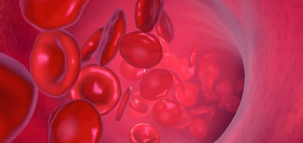 Красные Кровяные Тельца Циркулирующие Внутри Кровеносного Сосуда Иллюстрация — стоковое фото