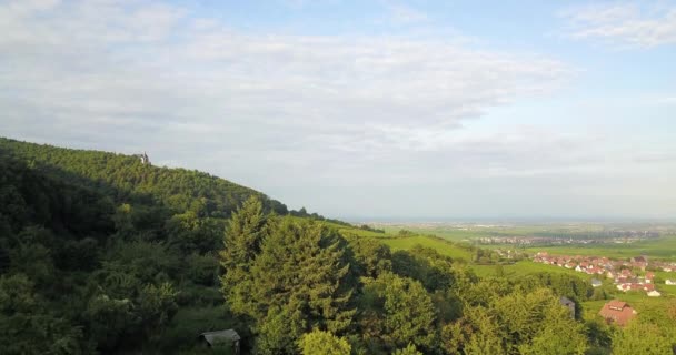 Peisaj Viță Vie Sudul Renaniei Palatinat Marginea Estică Pădurii Palatinate — Videoclip de stoc