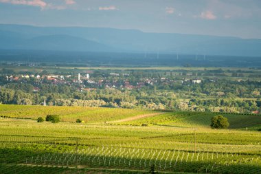 Derebeyi Ormanı 'ndan Kara Orman' a doğru Ren Vadisi manzarası