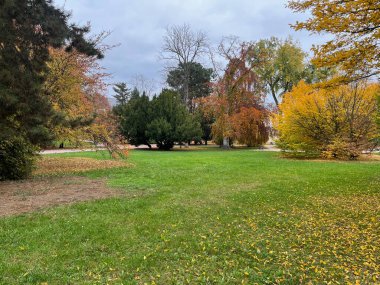Çek Cumhuriyeti 'nin Teplice tatil beldesinde altın sonbahar. Eski evler. Yüksek kalite fotoğraf