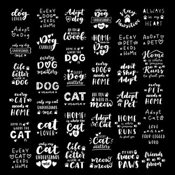Pet adoption sætning sort og hvid plakat. Inspirerende citater om adoption af husdyr. Håndskrevne sætninger til plakat, kat og hund adoption bogstaver. Vedtage et kæledyr. – Stock-vektor