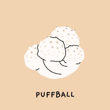 Tütsülenmiş mantarın botanik çizimi, yenilebilir mantarlı klasik eğitim posteri, doğal tarzda vektör düz çizimi