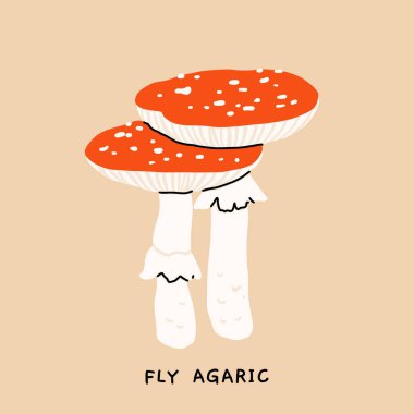 Zehirli mantarlar düz vektör seti. Amanita sivri sinek, panter kapağı, sülfür tozu, sahte morel, tüylü yele, aptal ağ kapağı, hasta. Eğitim amaçlı botanik poster çizimi.