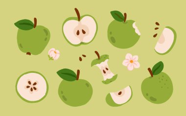 Bahar elması çizimlerinin vektör kümesi. Tam, ısırılmış, yarısı dilimlenmiş, çukur, çiçek açan bir dal. Düz çizgi film tarzı meyve koleksiyonu bahar tasarımları, ambalajlar, baskılar, çıkartmalar için mükemmel.