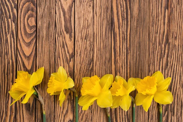 木の背景に春の花 — ストック写真