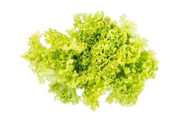 Verse salade sla dicht omhoog, bovenaanzicht, geïsoleerd op wit — Stockfoto