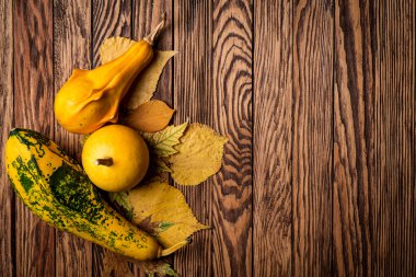 Ahşap kurullarında sonbahar arka plan. Üstten Görünüm. Metin için yer.