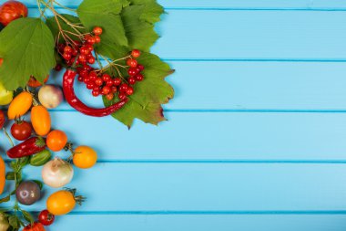 Sebze arka plan. Taze biber, domates, fesleğen, kabak, kabak, baharat ve baharat mavi ahşap zemin üzerinde. Organik gıda kavramı. Metin için yer.