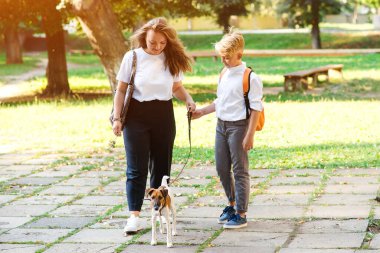 Şık bir anne ve oğlu parkta köpekleriyle yürüyor. Küçük köpek yavrusu Jack Russell Terrier ve çocuklar dışarıda. Mutluluk, arkadaşlık, hayvanlar ve yaşam tarzı. Mutlu aile.