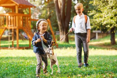 Mutlu çocuklar parkta köpekleriyle oynuyorlar. Küçük köpek yavrusu Jack Russell Terrier ve çocuklar dışarıda. Mutluluk, dostluk, hayvanlar ve yaşam tarzı.