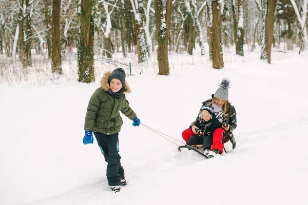 Mother Children Enjoying Sleigh Ride Happy Family Sled Winter Having — Stock Photo, Image