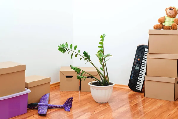 Yeni Konsepti Kutular Oyuncaklar Bitkiler Boş Odaya Bir Yığın Karton — Stok fotoğraf