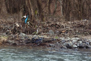 İnsanların bıraktığı plastik şişelerle dolu bir gölet. Su kaynaklarının ekolojik felaketi. Nehir suyundaki plastik şişeler ve çöpler. Çevre kirliliği. Çöp ve israf..