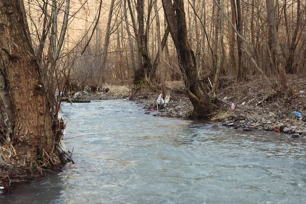 İnsanların bıraktığı plastik şişelerle dolu bir gölet. Su kaynaklarının ekolojik felaketi. Nehir suyundaki plastik şişeler ve çöpler. Çöp ve israf. Doğada plastik ve çöp kirliliği.