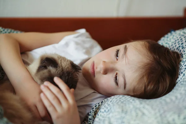 可爱的男孩和他的猫抱在床上 孩子和他的猫在家里 孩子和宠物 可爱的孩子与他的动物 早上舒服的回家 儿童与家猫的友谊 — 图库照片