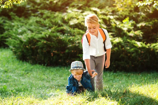 Fiú Kisöccsét Sétáltatja Iskolás Fiú Segít Felállni Barátjának Gyerekek Segítik — Stock Fotó