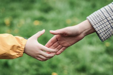 Anne ve çocuğun elleri birbirine uzanıyor. Destek, yardım ve güven. Ebeveynler yürürken bir çocuğun elini tutarlar. Çocuk ve anne, doğanın geçmişini araştırıyor. Aile içinde sevgi, ilişki ve takım çalışması