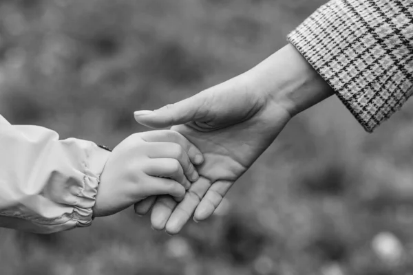 Руки Матери Ребенка Держатся Друг Друга Поле Поддержка Помощь Доверие — стоковое фото