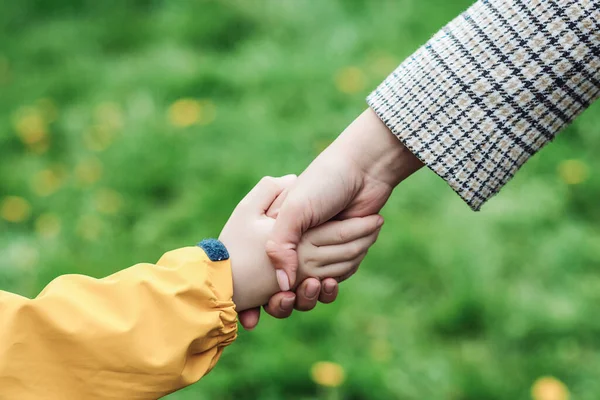 Madre Figlio Tengono Mano Sul Campo Supporto Aiuto Fiducia Bambino — Foto Stock