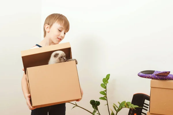 Niño Feliz Gato Divirtiéndose Juntos Día Mudanza Nuevo Hogar Vivienda — Foto de Stock