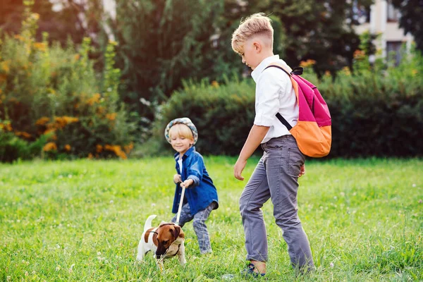 Crianças Com Cão Passear Parque Família Amizade Animais Estilo Vida — Fotografia de Stock