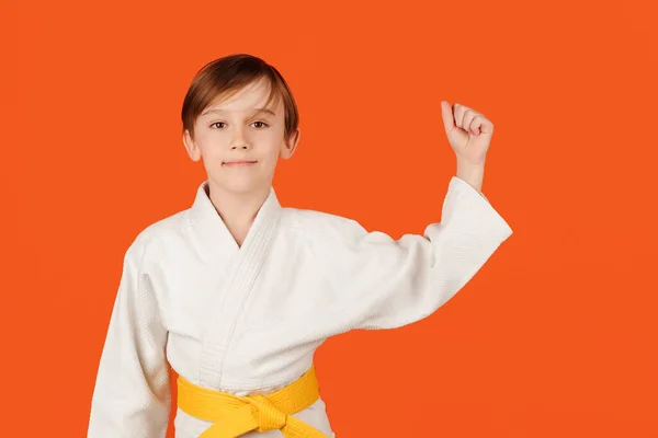 Boy practicing karate on color background, copy space. Kid sport concept. Healthy sporty childhood and lifestyle. Martial arts, school and training. Boy wearing white kimono and holding his yellow belt.