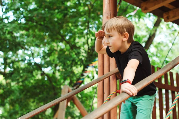 男孩在树屋里玩耍 望着远方 孩子们在夏天的冒险公园玩得很开心 孩子们的暑期活动 孩子们在学校度假玩得很开心 儿童历险公园 — 图库照片