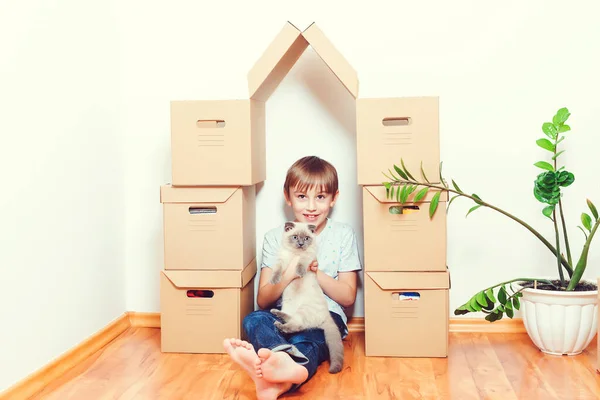 Mutlu Çocuk Kedi Yeni Evde Birlikte Eğleniyorlar Şirin Çocuk Kutuları — Stok fotoğraf