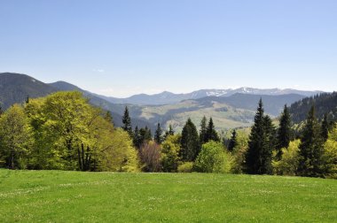 Ayında en yüksek dağ görüntülemek