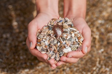 Kadınların elleri deniz kabuklarını tutan ve
