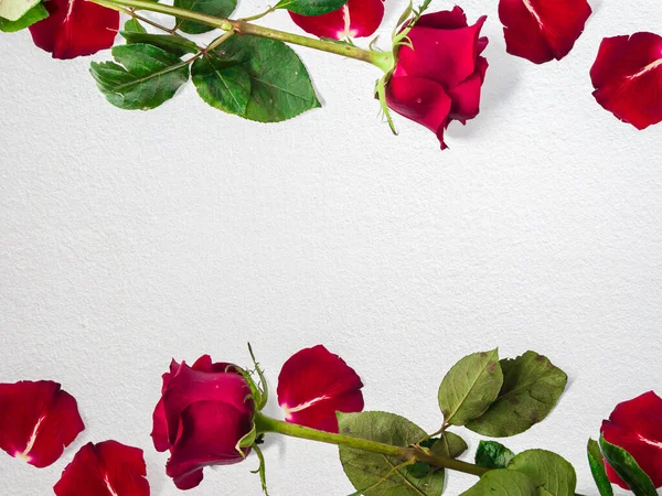 具有复制空间 花朵框架 花朵背景 情人节快乐 母亲节 俯瞰等特点的玫瑰创意花卉构图 — 图库照片