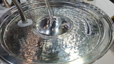 Lezzetli Asya yemeklerinin yakın görüntüsü