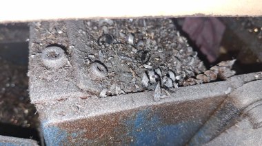 Siyah saplı metal boru.