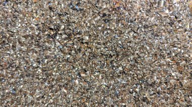 tasarım için gri duvar dokusu arkaplanı