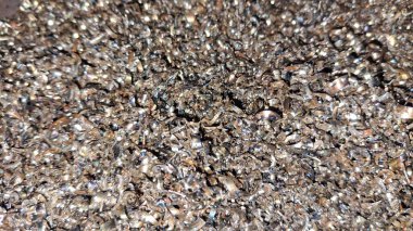 Gri taşların arkaplan dokusu.