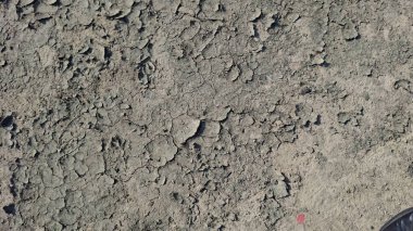 Çatlak toprak dokusu. kuru toprak yüzeyi