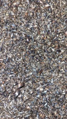 # Denizde balık ve balık yığını #