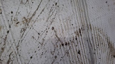 Beyaz ahşap doku, doğal ahşap zemin