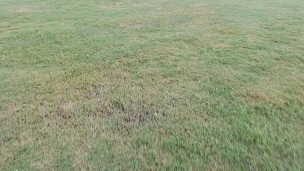 İsrail Eyaleti Adası 'nın havadan görünüşü.