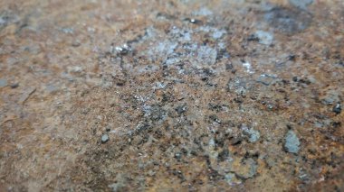 Siyah beyaz desenli ahşap bir masayı kapat.