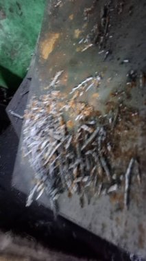 Endüstriyel Nesneler Çiğ Demir Makineler Plastik Parçalar Küf Öldür