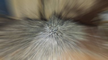 abstract motion blur effect. spring blurred background. long exposure effect.