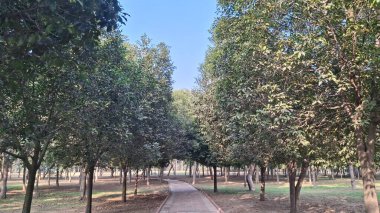 Parkın güzel manzarası