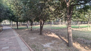 Parkın güzel manzarası