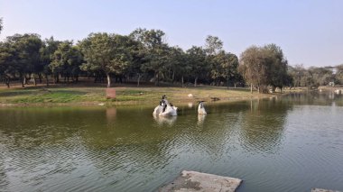 Parkta yürüyen bir grup insan.