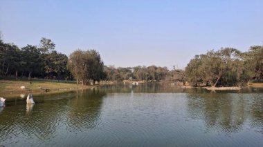 Göleti ve göleti olan güzel bir manzara.