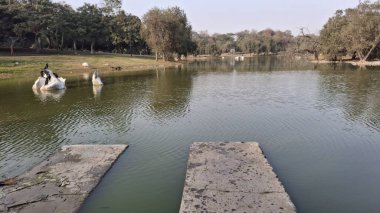 Parktaki göl manzarası