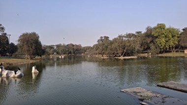 Parktaki nehrin güzel manzarası