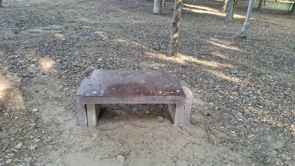 Parktaki eski ahşap bank.