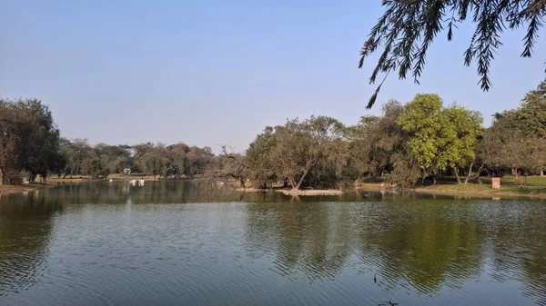 Parktaki göl manzarası